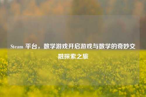 Steam 平台,数学游戏开启游戏与数学的奇妙交融探索之旅