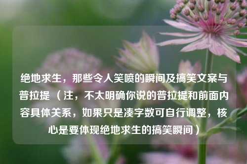 绝地求生,那些令人笑喷的瞬间及搞笑文案与普拉提 (注,不太明确你说的普拉提和前面内容具体关系,如果只是凑字数可自行调整,核心是要体现绝地求生的搞笑瞬间)