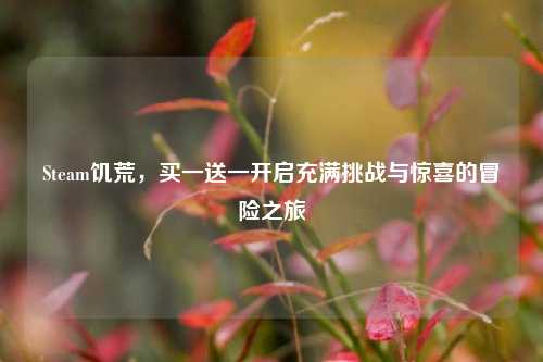 Steam饥荒，买一送一开启充满挑战与惊喜的冒险之旅