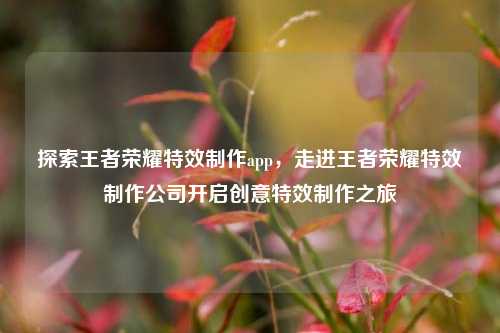 探索王者荣耀特效制作app,走进王者荣耀特效制作公司开启创意特效制作之旅