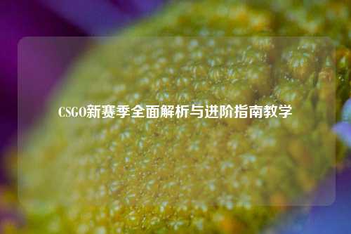 CSGO新赛季全面解析与进阶指南教学