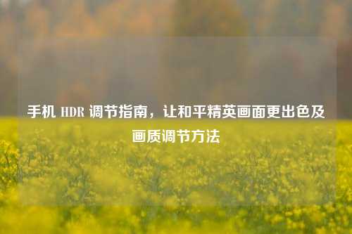 手机 HDR 调节指南,让和平精英画面更出色及画质调节方法