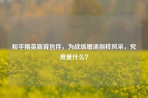 和平精英新背包件,为战场增添别样风采,究竟是什么?