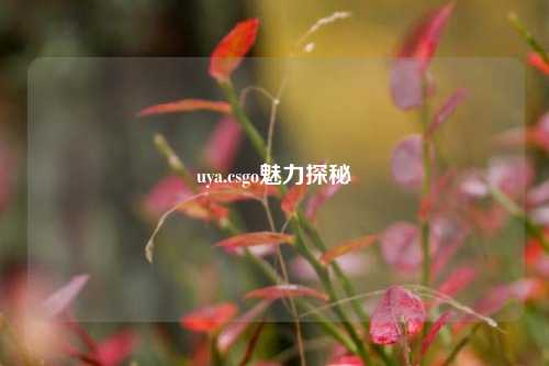 uya.csgo魅力探秘
