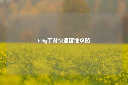 Pubg手游快速落地攻略