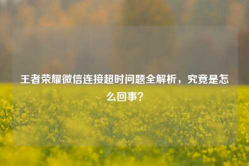 王者荣耀微信连接超时问题全解析,究竟是怎么回事?