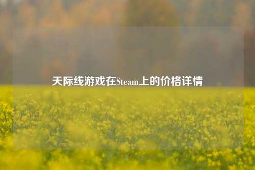 天际线游戏在Steam上的价格详情