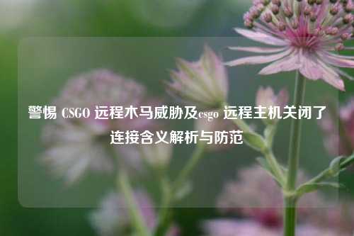 警惕 CSGO 远程木马威胁及csgo 远程主机关闭了连接含义解析与防范