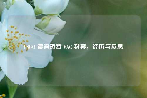 CSGO 遭遇短暂 VAC 封禁，经历与反思