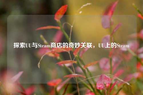 探索UU与Steam商店的奇妙关联，UU上的Steam