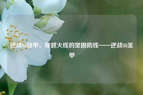 逆战88战甲,穿越火线的坚固防线——逆战88圣甲