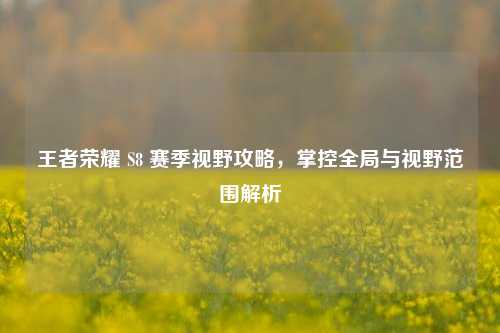 王者荣耀 S8 赛季视野攻略,掌控全局与视野范围解析