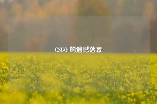 CSGO 的遗憾落幕