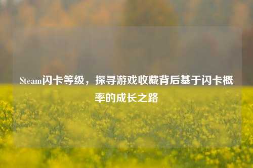 Steam闪卡等级，探寻游戏收藏背后基于闪卡概率的成长之路