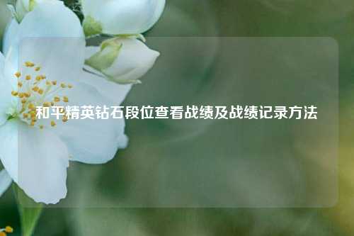 和平精英钻石段位查看战绩及战绩记录方法