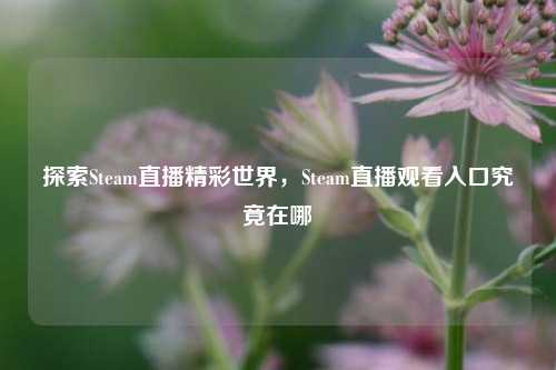 探索Steam直播精彩世界,Steam直播观看入口究竟在哪