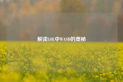解读LOL中WASD的奥秘