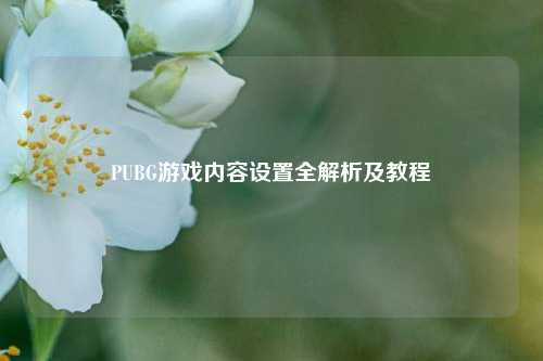 PUBG游戏内容设置全解析及教程