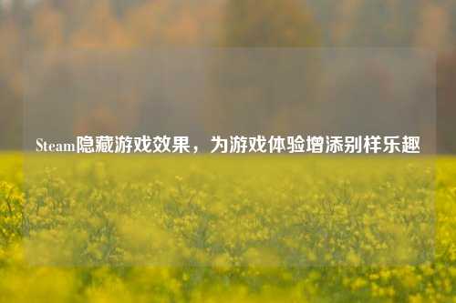 Steam隐藏游戏效果,为游戏体验增添别样乐趣