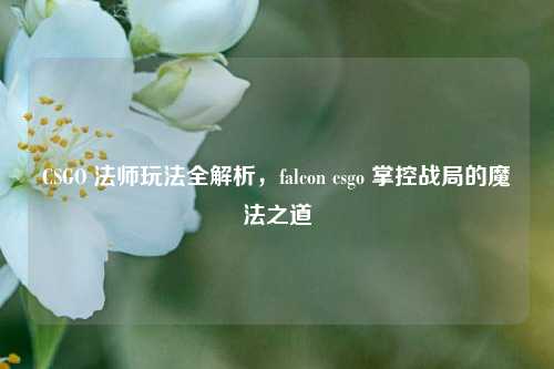 CSGO 法师玩法全解析，falcon csgo 掌控战局的魔法之道