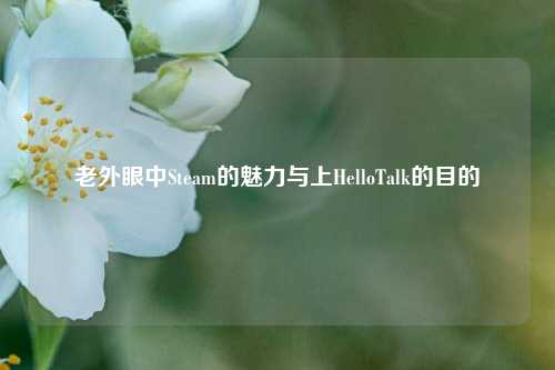 老外眼中Steam的魅力与上HelloTalk的目的