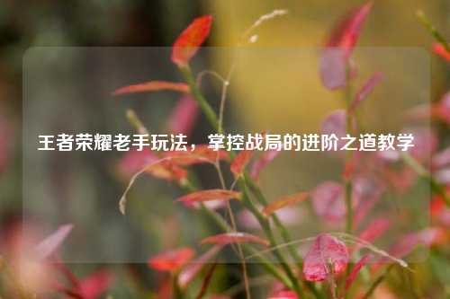 王者荣耀老手玩法,掌控战局的进阶之道教学