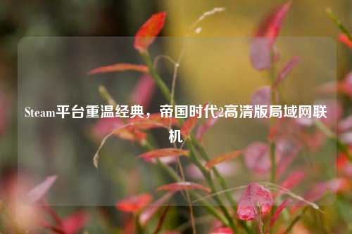 Steam平台重温经典,帝国时代2高清版局域网联机