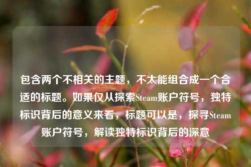 包含两个不相关的主题，不太能组合成一个合适的标题。如果仅从探索Steam账户符号，独特标识背后的意义来看，标题可以是，探寻Steam账户符号，解读独特标识背后的深意