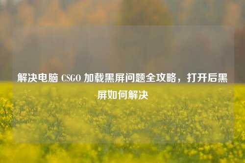 解决电脑 CSGO 加载黑屏问题全攻略,打开后黑屏如何解决