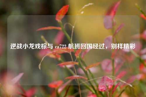 逆战小龙戏棕与 ca722 航班回国经过，别样精彩