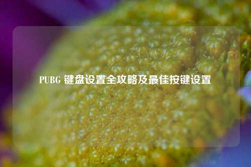 PUBG 键盘设置全攻略及最佳按键设置