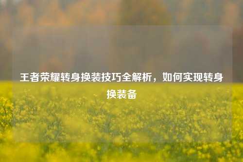 王者荣耀转身换装技巧全解析,如何实现转身换装备
