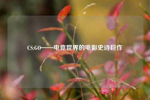 CS:GO——电竞世界的电影史诗巨作