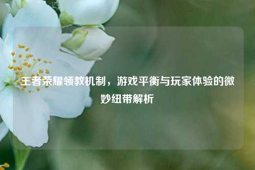 王者荣耀领教机制,游戏平衡与玩家体验的微妙纽带解析