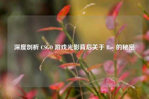 深度剖析 CSGO 游戏光影背后关于 Ray 的秘密