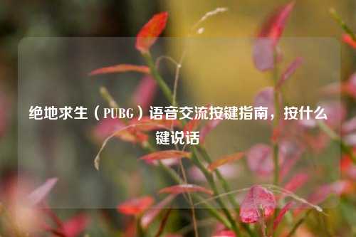 绝地求生(PUBG)语音交流按键指南,按什么键说话
