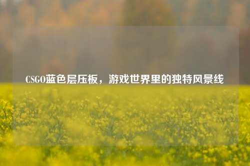 CSGO蓝色层压板，游戏世界里的独特风景线