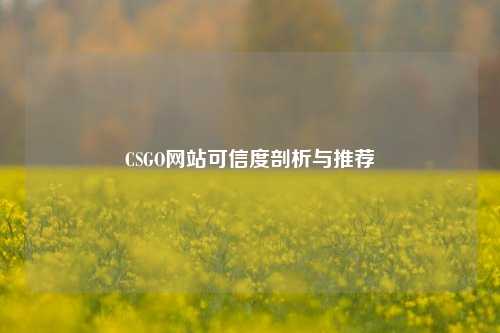 CSGO网站可信度剖析与推荐