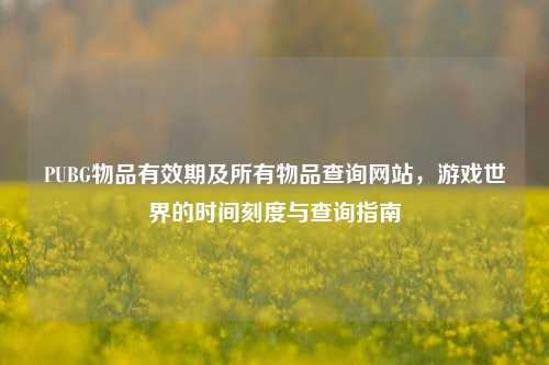 PUBG物品有效期及所有物品查询网站,游戏世界的时间刻度与查询指南