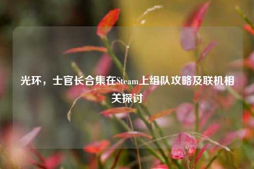 光环,士官长合集在Steam上组队攻略及联机相关探讨