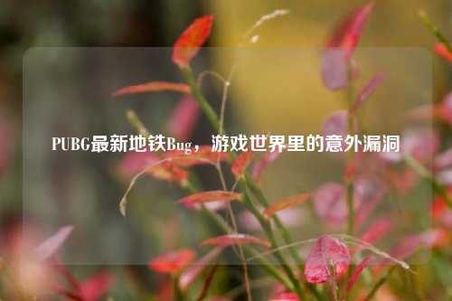 PUBG最新地铁Bug,游戏世界里的意外漏洞