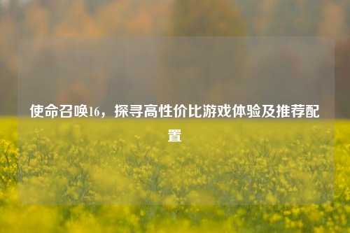 使命召唤16,探寻高性价比游戏体验及推荐配置