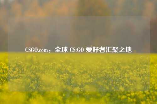 CSGO.com,全球 CS:GO 爱好者汇聚之地