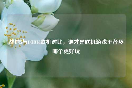 战地5与COD16联机对比,谁才是联机游戏王者及哪个更好玩