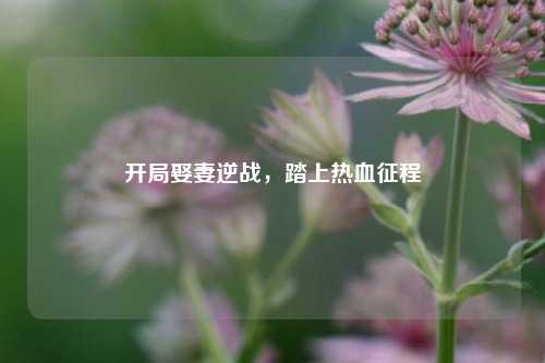 开局娶妻逆战,踏上热血征程