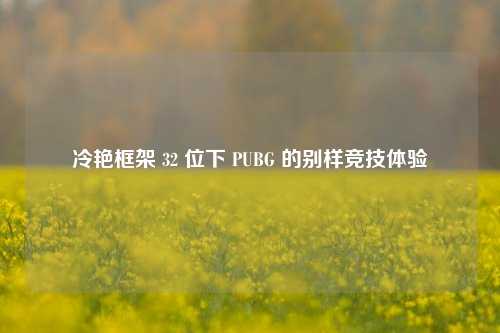 冷艳框架 32 位下 PUBG 的别样竞技体验