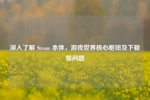深入了解 Steam 本体,游戏世界核心枢纽及下载慢问题