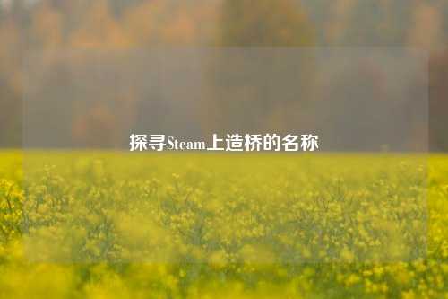 探寻Steam上造桥的名称