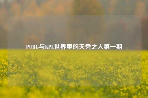 PUBG与KPL世界里的天秀之人第一期
