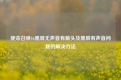 使命召唤16黑屏无声音有箭头及黑屏有声音问题的解决方法